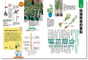 现货 大森直樹《最高人氣果樹盆栽: 免流汗, 誰都種得活》廣廈