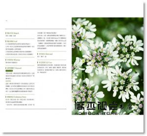 喬夏《100種藥草療癒全書：史上最完整的西洋藥草寶典，100種藥草圖解╳藥草的使用＆應用╳美味藥草食譜》帕斯頓數