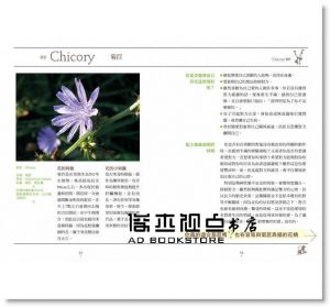 白石由利奈《情緒紓壓：英國巴赫花精療法》大樹林