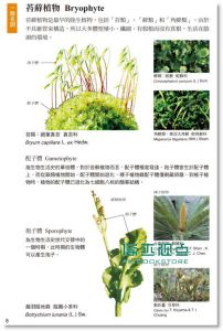 现货 植物學百科圖典2015全新修訂版15[貓頭鷹][彭鏡毅]目錄