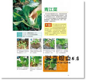 利用寶特瓶栽種蔬菜  [康鑑][吉川泰正]