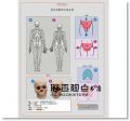 烏迪斯‧薩林斯, 山迪斯‧康德拉茲《藝用3D人體解剖書：認識人體結構與造型》大家