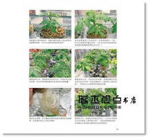 利用寶特瓶栽種蔬菜  [康鑑][吉川泰正]