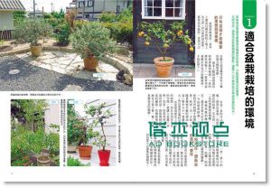 现货 大森直樹《最高人氣果樹盆栽: 免流汗, 誰都種得活》廣廈