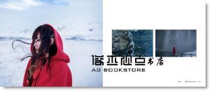 《為夢想逆向而行: 在冰島的孤寂迷夢(2冊合售)》 寫樂文化