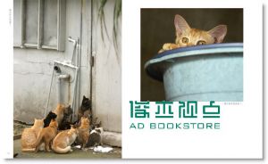 拍猫, 是很严肃的: 吴毅平15年猫写真精选