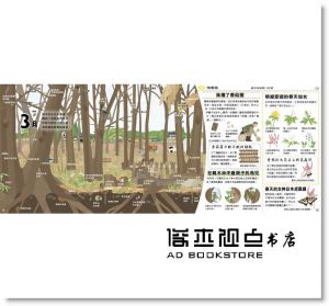 向田智也《里山的一年繪本2：雜木林的一年》小光點