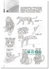1500種動物姿勢素描圖鑑 [瑞昇]