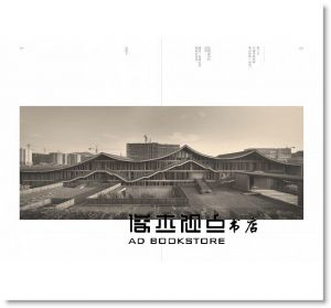 王澍《造房子》時報出版