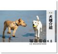 DK出版社編輯群《終極狗百科：完整的犬種圖鑑與養育指南》：大石國際文化
