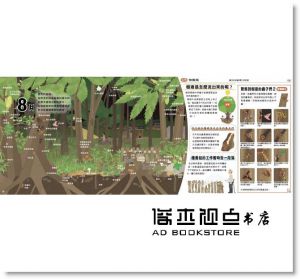 向田智也《里山的一年繪本2：雜木林的一年》小光點