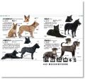 DK出版社編輯群《終極狗百科：完整的犬種圖鑑與養育指南》：大石國際文化