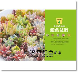 和二木一起玩多肉(2冊套組) [康鑑][二木]