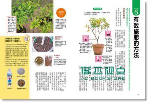 现货 大森直樹《最高人氣果樹盆栽: 免流汗, 誰都種得活》廣廈