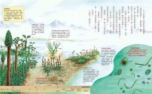 东方编辑小组??《漫畫科學生活百科：植物大觀園》東方