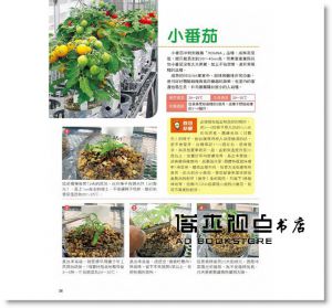 利用寶特瓶栽種蔬菜  [康鑑][吉川泰正]