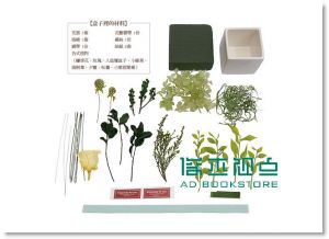 莉朵女孩《治癒系不凋花: 創意盆栽 夏季篇》 四塊玉