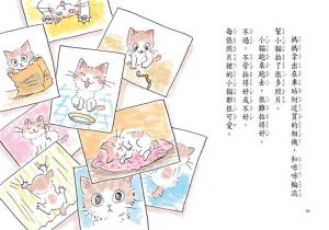 成行和加子《誰要收養小貓 (二版)》台灣東方