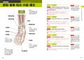 童小芳《超图解经络．穴道：透過經穴建构人体健康地图》台灣東販