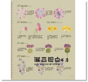 现货 《輕鬆學彩繪：川島詠子的花草彩繪圖案集105》良品文化