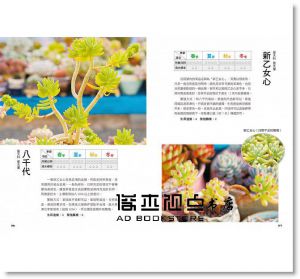 和二木一起玩多肉(2冊套組) [康鑑][二木]