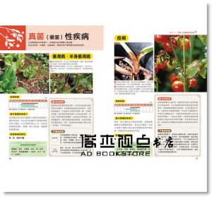 高橋孝文《500張病症實境照！植物病蟲害防治全圖鑑》 [台灣廣廈]