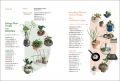 崔廷原《我的第一堂植栽組盆美學課：用最好養的「觀葉×多肉×苔蘚」植物，設計出58種改變空間氛圍的療癒系盆景》蘋果屋