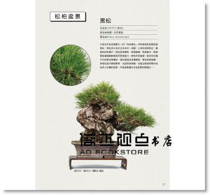 關野正/指導, 松井孝/監修《小品盆栽造景樂 》[三悅]