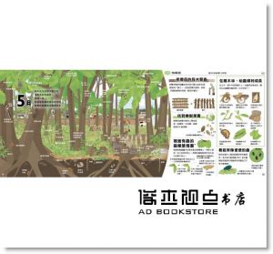 向田智也《里山的一年繪本2：雜木林的一年》小光點