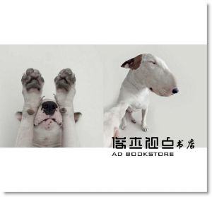 牛頭好有梗！憨狗JIMMY的異想世界 [一起來]