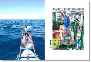 《討海魂: 13種即將消失的捕魚技法, 找尋人海共存之道》行人出版