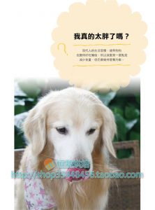 狗狗教室 [康鑑文化]