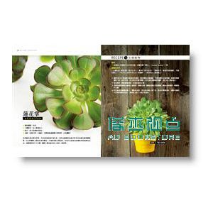 植栽時間：100種室內園藝裝飾diy [朱雀]
