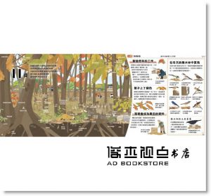 向田智也《里山的一年繪本2：雜木林的一年》小光點