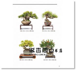 關野正/指導, 松井孝/監修《小品盆栽造景樂 》[三悅]